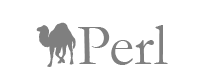 Perl Module